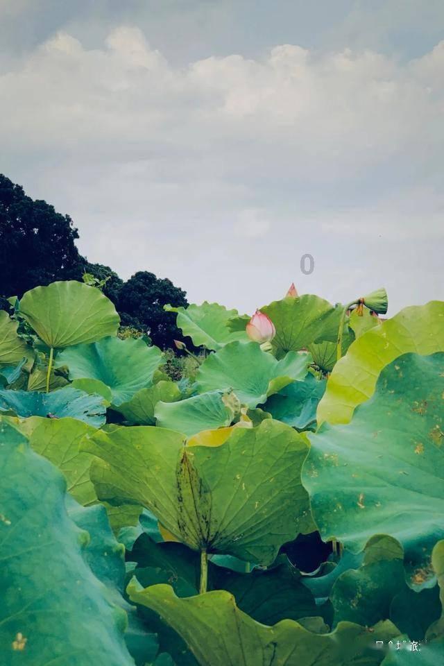 新华社快讯:伊拉克境内一驻有美军的基地20日遭到火箭弹袭击